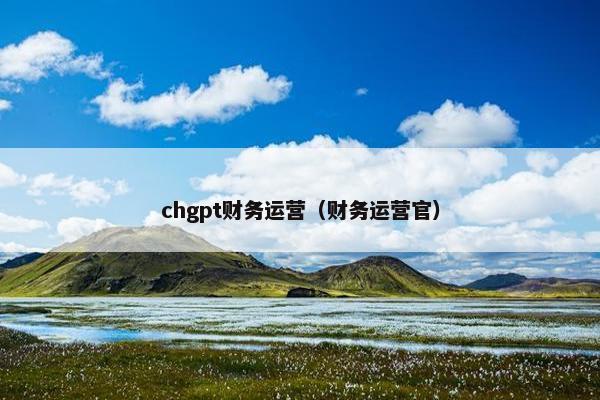 chgpt财务运营（财务运营官）
