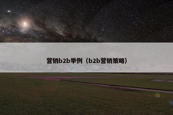 营销b2b举例(b2b营销策略) 营销b2b举例(b2b营销策略)