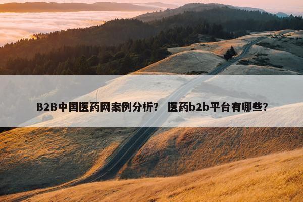 B2B中国医药网案例分析？ 医药b2b平台有哪些？