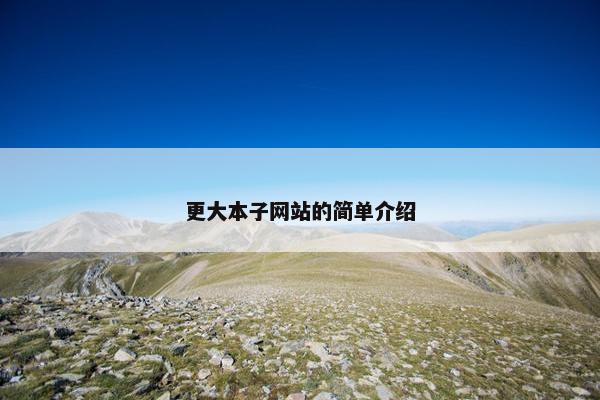 更大本子网站的简单介绍