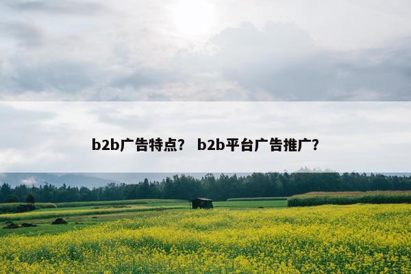 b2b广告特点? b2b平台广告推广? b2b广告特点? b2b平台广告推广?