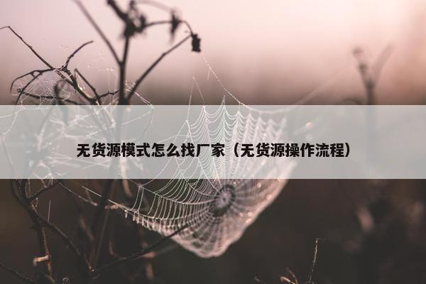 无货源模式怎么找厂家（无货源操作流程）