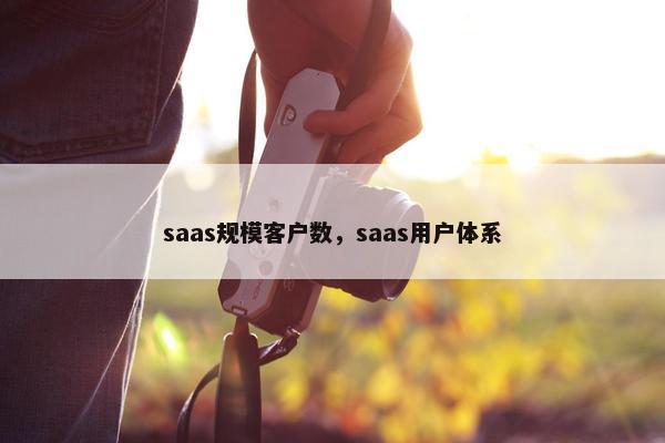 saas规模客户数,saas用户体系 saas规模客户数,saas用户体系