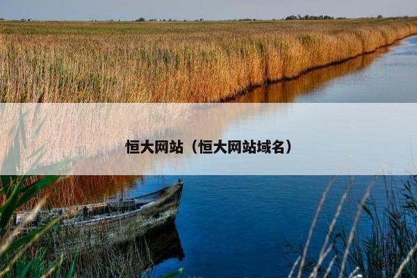 恒大网站（恒大网站域名）