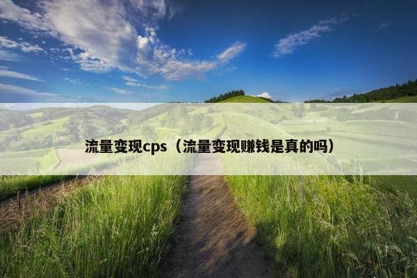 流量变现cps（流量变现赚钱是真的吗）