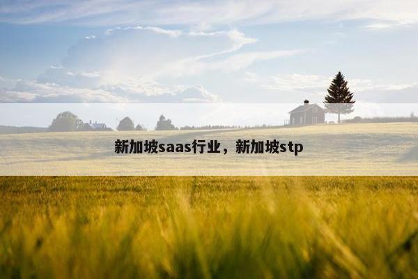 新加坡saas行业，新加坡stp