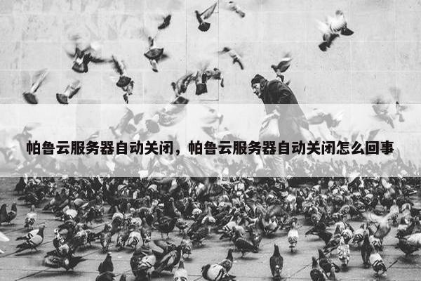 帕鲁云服务器自动关闭,帕鲁云服务器自动关闭怎么回事 帕鲁云服务器自动关闭,帕鲁云服务器自动关闭怎么回事