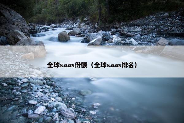 全球saas份额（全球saas排名）