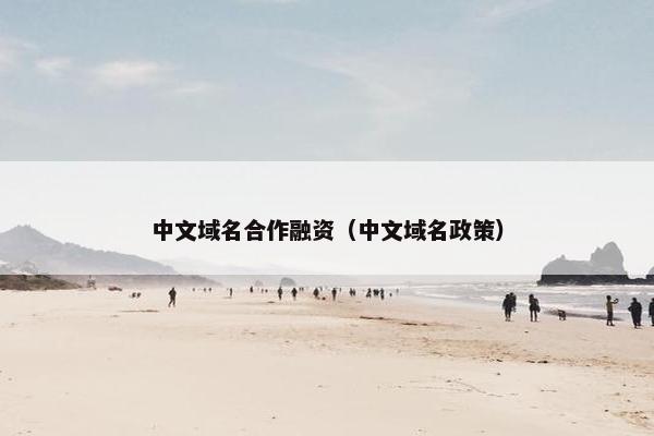 中文域名合作融资(中文域名政策) 中文域名合作融资(中文域名政策)