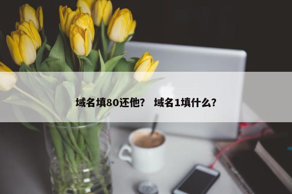 域名填80还他? 域名1填什么? 域名填80还他? 域名1填什么?
