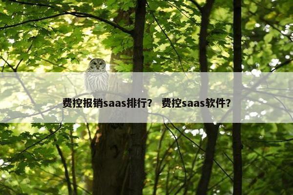 费控报销saas排行？ 费控saas软件？