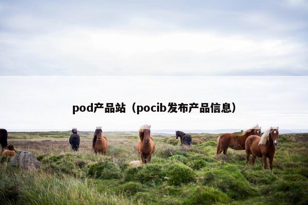 pod产品站（pocib发布产品信息）