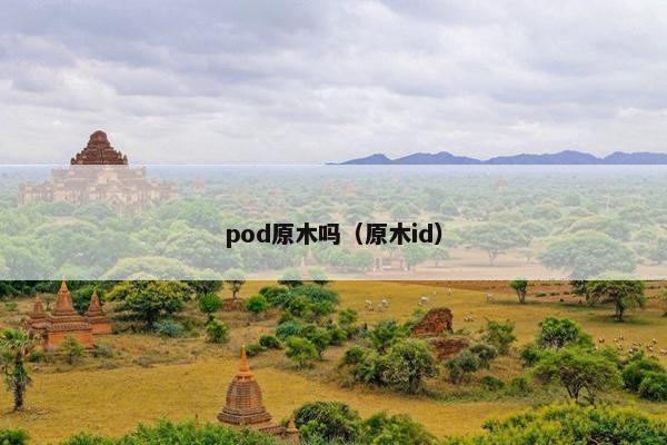 pod原木吗（原木id）