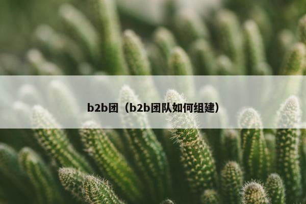 b2b团(b2b团队如何组建) b2b团(b2b团队如何组建)