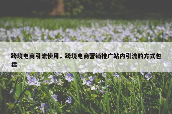 跨境电商引流使用,跨境电商营销推广站内引流的方式包括 跨境电商引流使用,跨境电商营销推广站内引流的方式包括