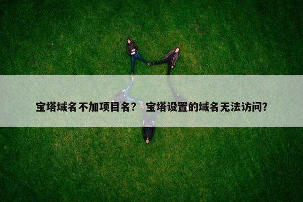宝塔域名不加项目名? 宝塔设置的域名无法访问? 宝塔域名不加项目名? 宝塔设置的域名无法访问?