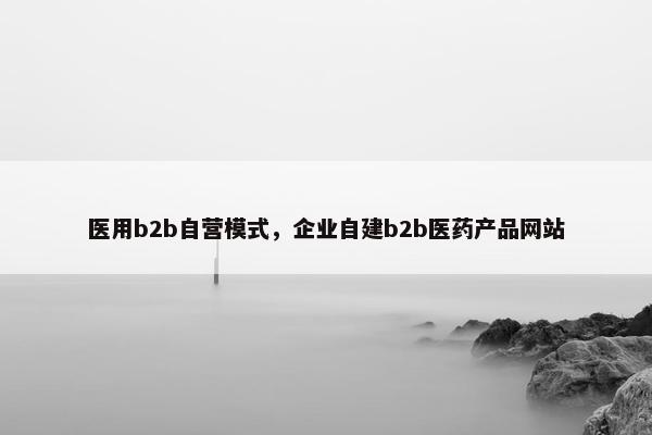 医用b2b自营模式,企业自建b2b医药产品网站 医用b2b自营模式,企业自建b2b医药产品网站