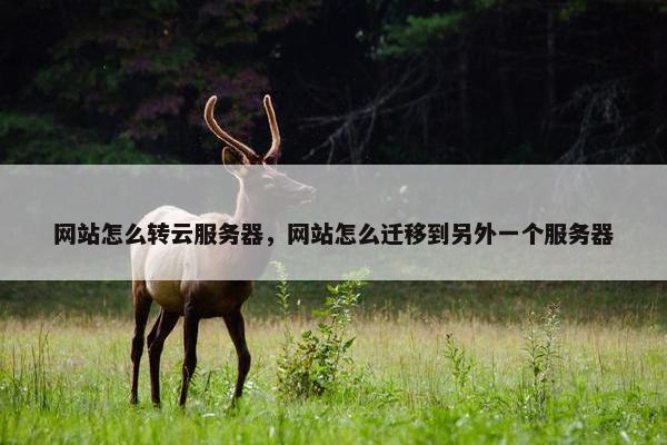 网站怎么转云服务器，网站怎么迁移到另外一个服务器