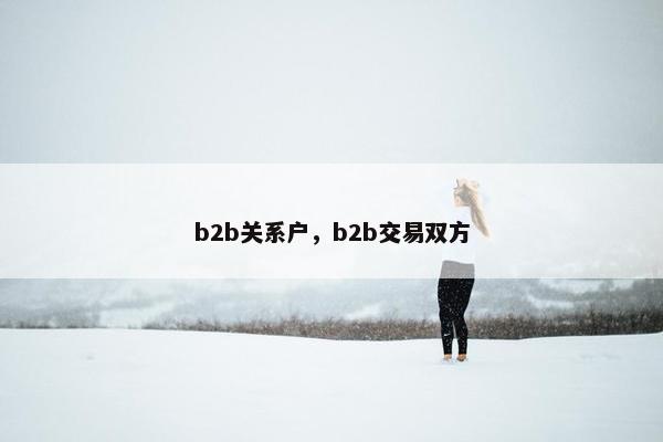 b2b关系户，b2b交易双方