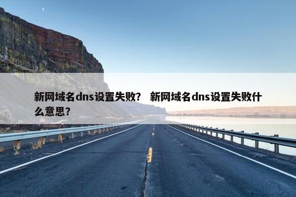新网域名dns设置失败？ 新网域名dns设置失败什么意思？