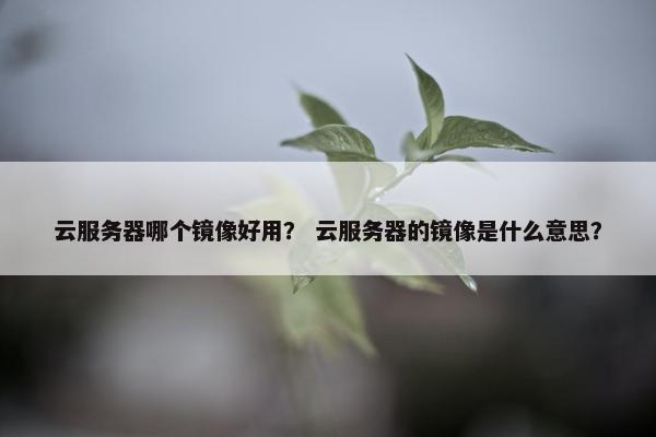 云服务器哪个镜像好用? 云服务器的镜像是什么意思?