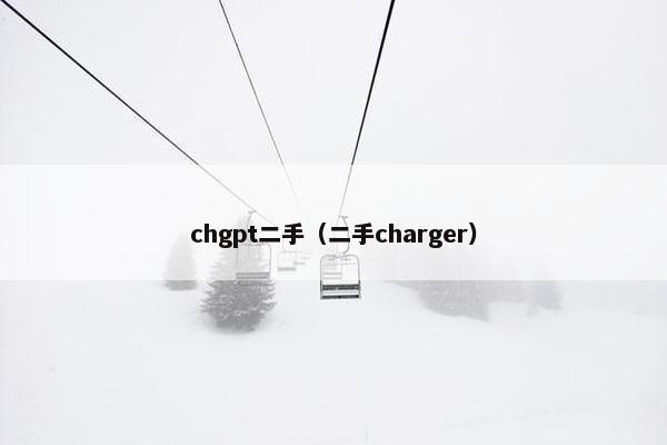 chgpt二手(二手charger) chgpt二手(二手charger)