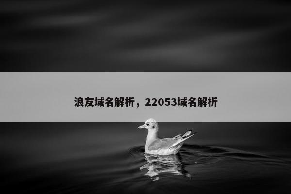 浪友域名解析，22053域名解析