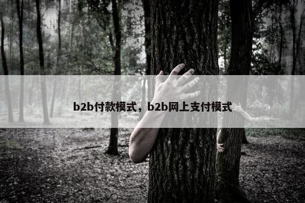 b2b付款模式,b2b网上支付模式 b2b付款模式,b2b网上支付模式