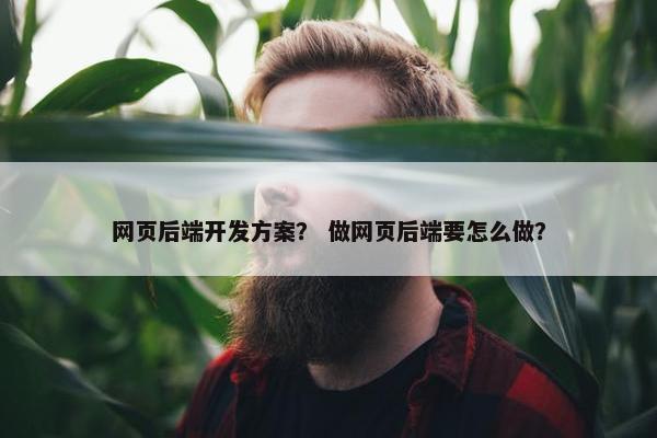 网页后端开发方案？ 做网页后端要怎么做？