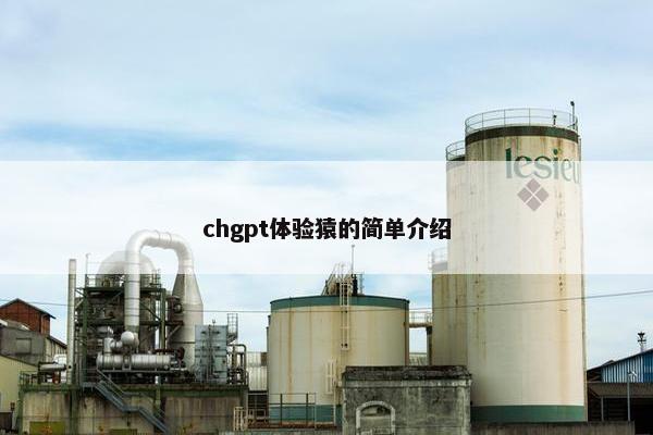 chgpt体验猿的简单介绍