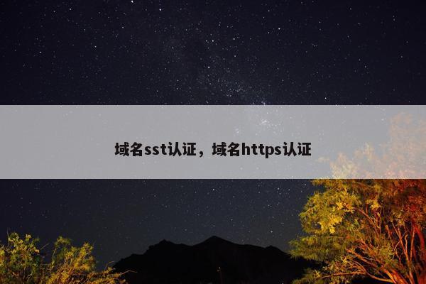 域名sst认证，域名https认证