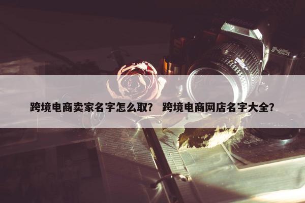 跨境电商卖家名字怎么取? 跨境电商网店名字大全?