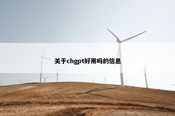 关于chgpt好用吗的信息 关于chgpt好用吗的信息