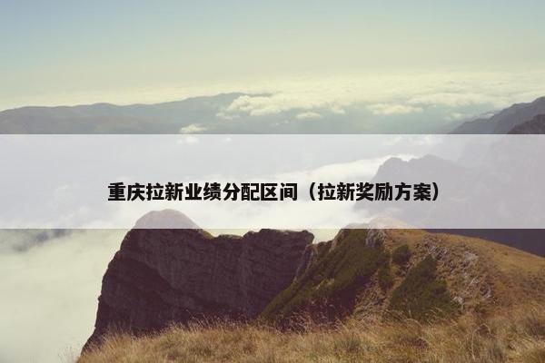 重庆拉新业绩分配区间(拉新奖励方案)