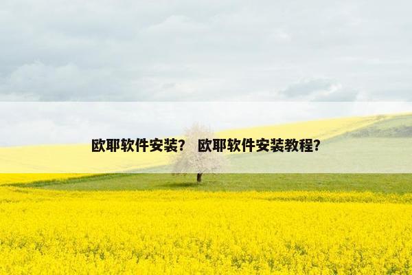 欧耶软件安装？ 欧耶软件安装教程？