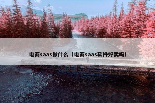 电商saas做什么(电商saas软件好卖吗) 电商saas做什么(电商saas软件好卖吗)