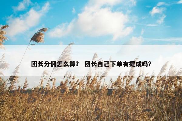 团长分佣怎么算? 团长自己下单有提成吗? 团长分佣怎么算? 团长自己下单有提成吗?
