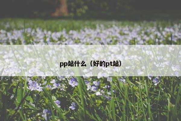 pp站什么（好的pt站）