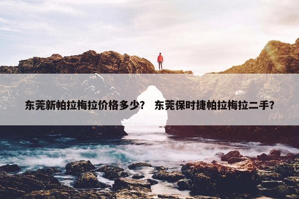 东莞新帕拉梅拉价格多少？ 东莞保时捷帕拉梅拉二手？