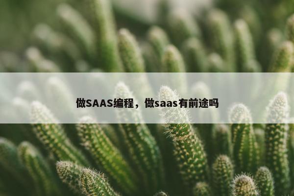 做SAAS编程,做saas有前途吗 做SAAS编程,做saas有前途吗