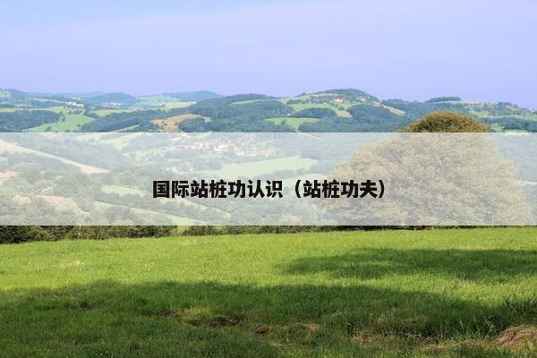 国际站桩功认识（站桩功夫）