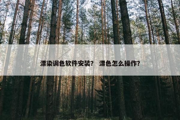 漂染调色软件安装？ 漂色怎么操作？