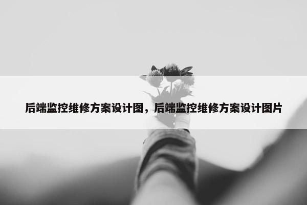 后端监控维修方案设计图，后端监控维修方案设计图片