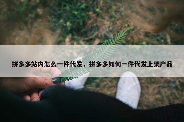 拼多多站内怎么一件代发,拼多多如何一件代发上架产品 拼多多站内怎么一件代发,拼多多如何一件代发上架产品