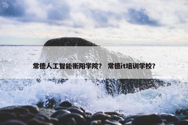 常德人工智能衡阳学院？ 常德it培训学校？