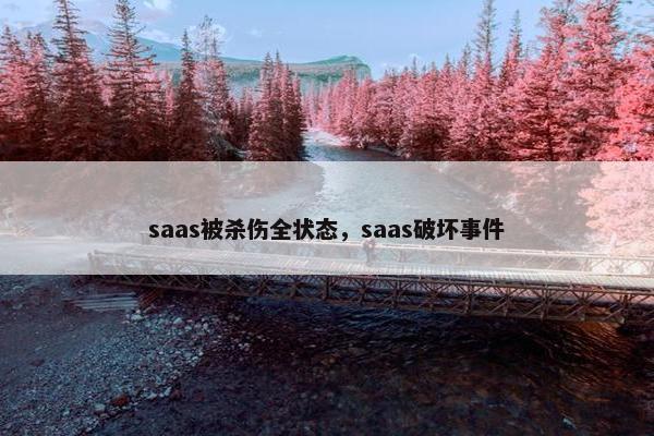 saas被杀伤全状态，saas破坏事件