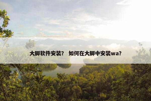 大脚软件安装？ 如何在大脚中安装wa？