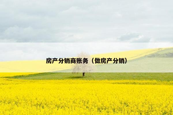 房产分销商账务(做房产分销) 房产分销商账务(做房产分销)
