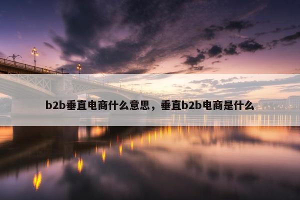 b2b垂直电商什么意思,垂直b2b电商是什么 b2b垂直电商什么意思,垂直b2b电商是什么