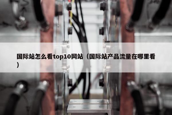 国际站怎么看top10网站(国际站产品流量在哪里看) 国际站怎么看top10网站(国际站产品流量在哪里看)
